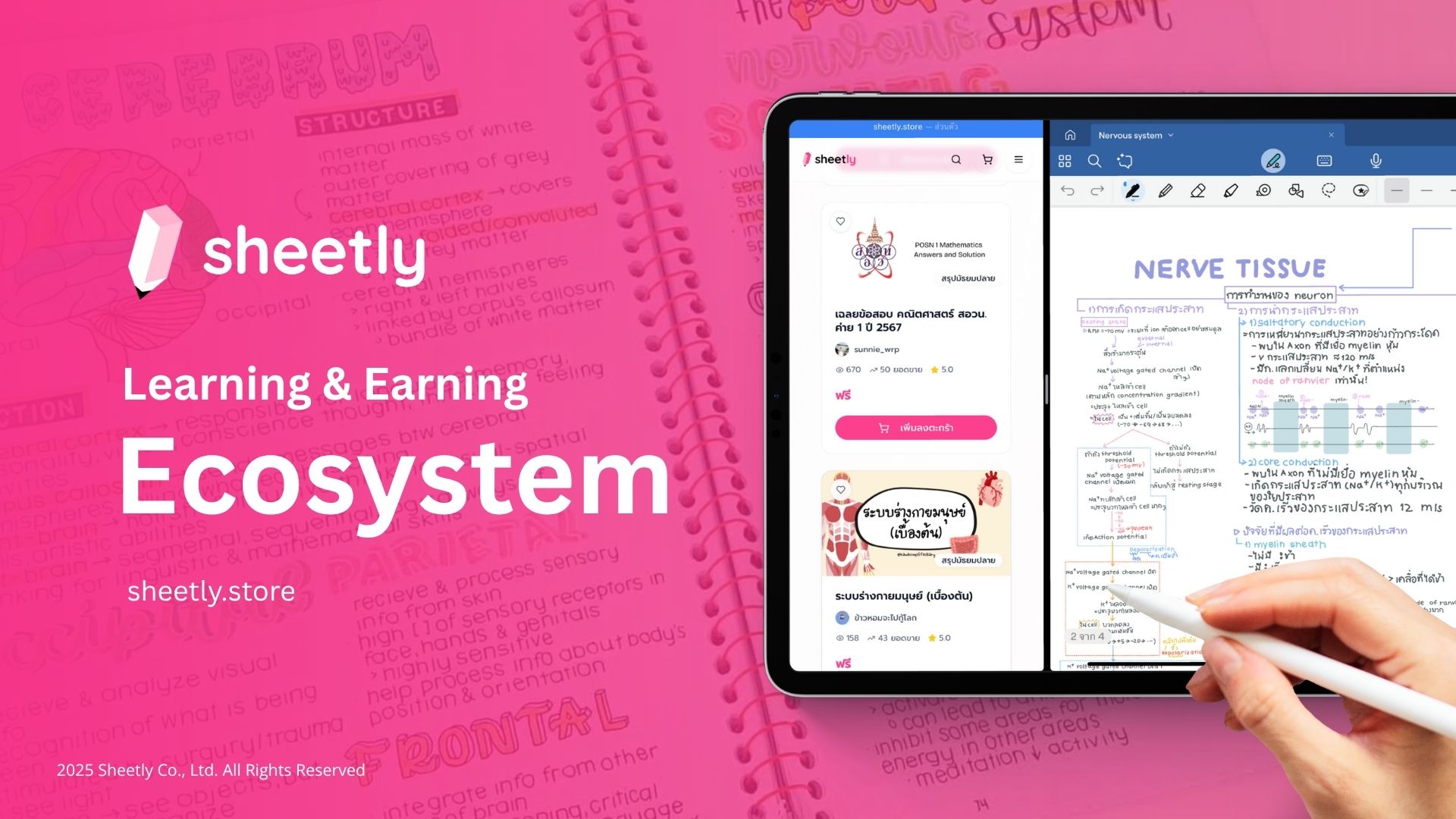 Sheetly Platform Screenshot 1